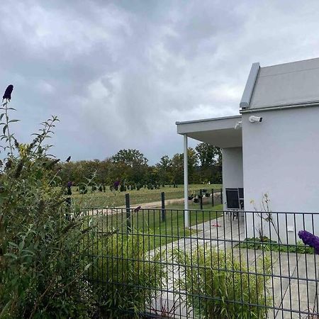 Wohnung Mit Garten Naehe Legoland Leipheim Eksteriør billede